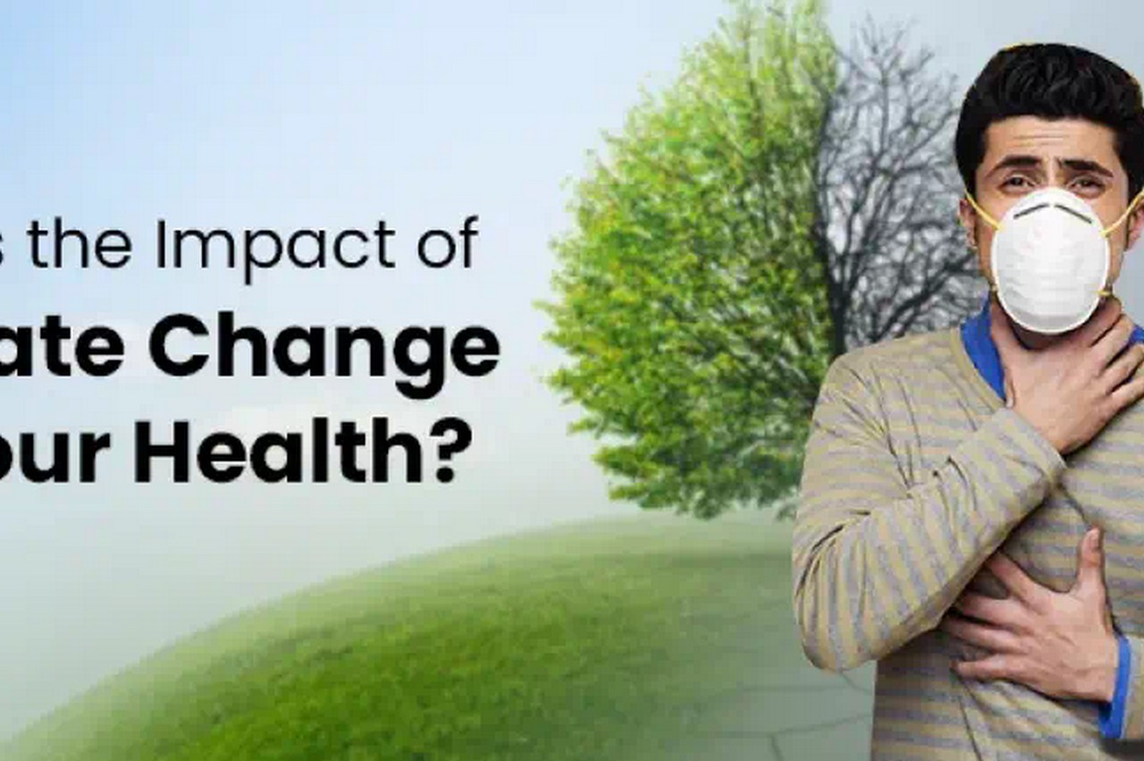 What Result Does Environment Adjustment Carry Your Wellness?