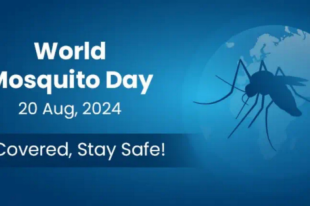 Globe Insect Day: Tips to Safeguard Yourself from the Tiny Hazard