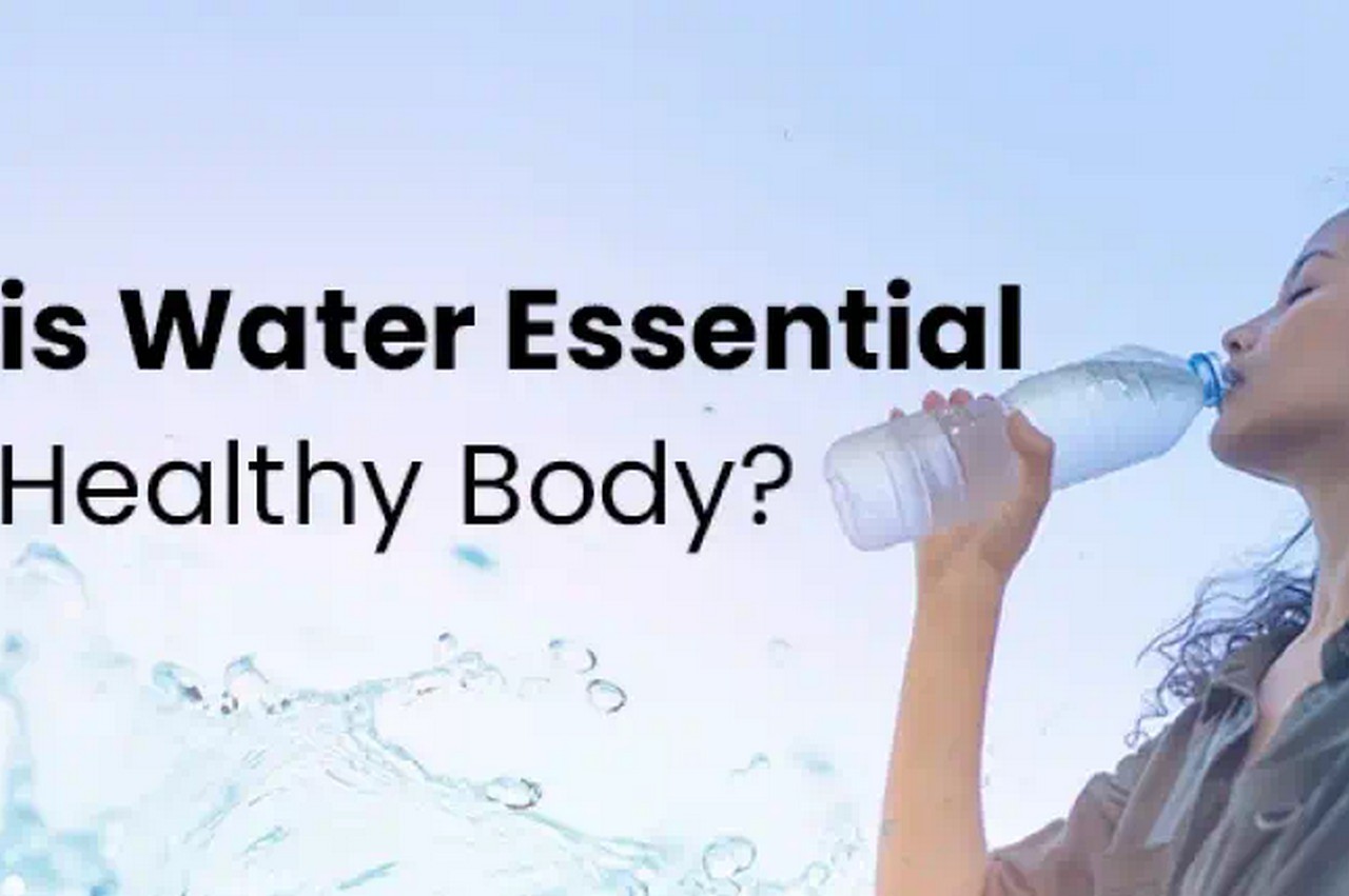 Comprehending the Relationship in between Hydration and Health And Wellness