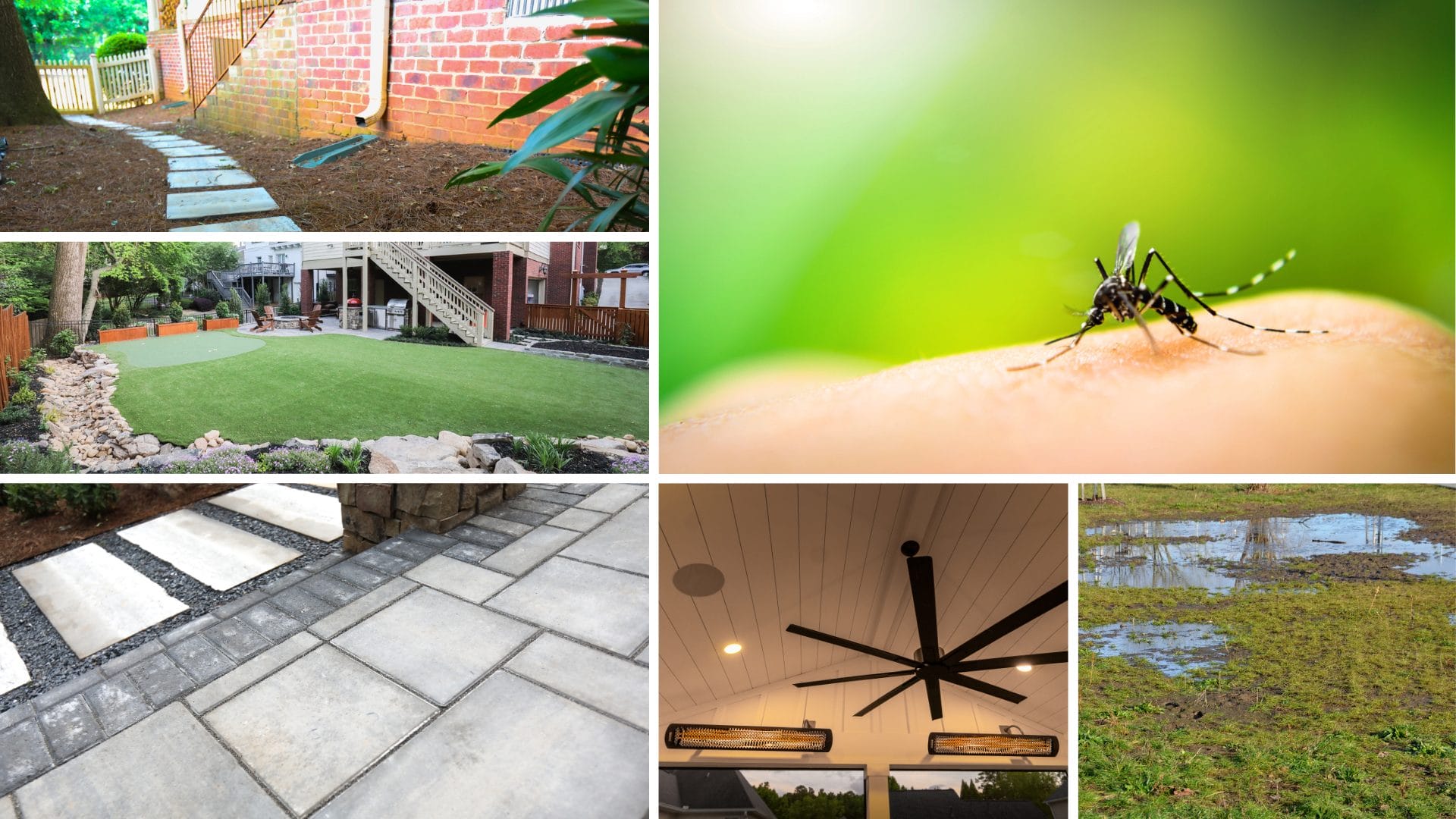 The best way to Cut back Mosquitoes and Pests Naturally in Your Yard